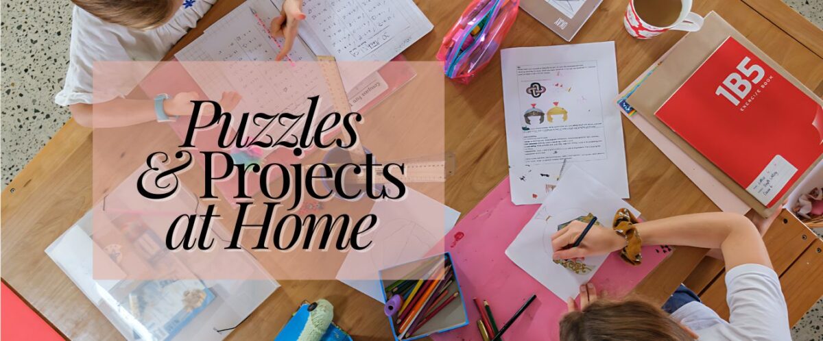 Want to learn how to challenge your gifted students in math? Click to learn about puzzles and projects to stimulate your child’s inner mathematician.