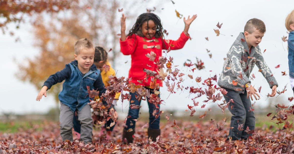 Seasonal rhythms are more than just the changing of the leaves or the first snowfall; they are a natural cadence that aligns with the Earth's cycles