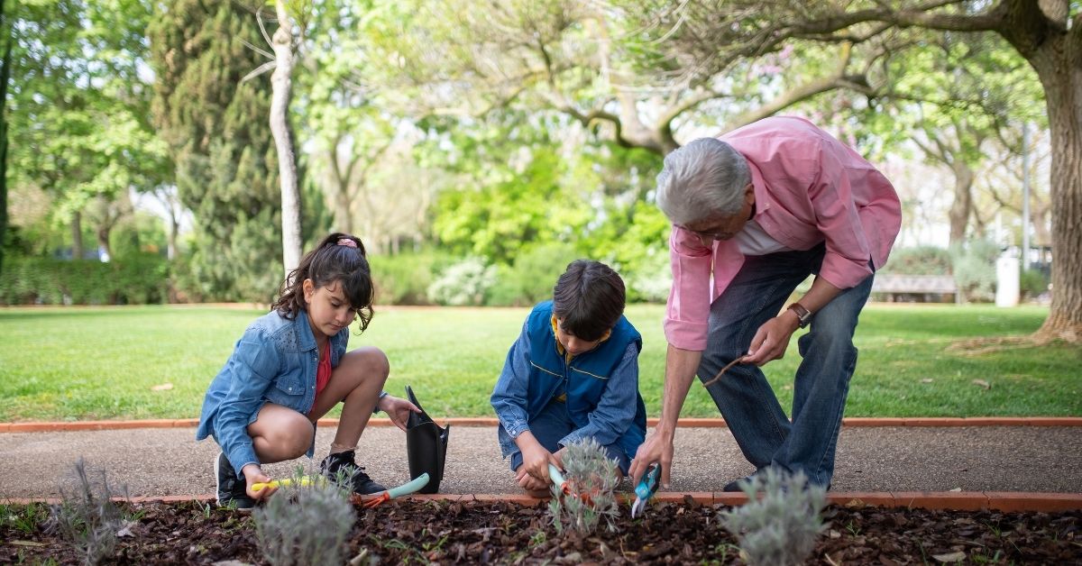 An elderly man and two children engaged in a hands-on gardening activity in a lush green park, using small tools to plant and nurture plants together.