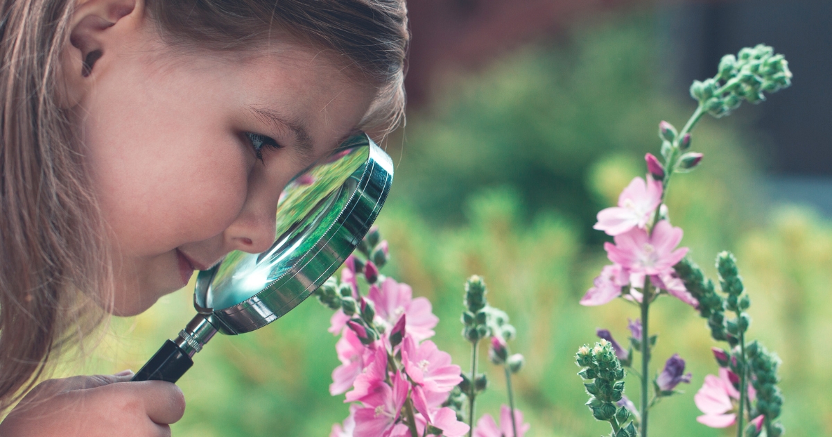 Getting Outside: Science Class in the Backyard