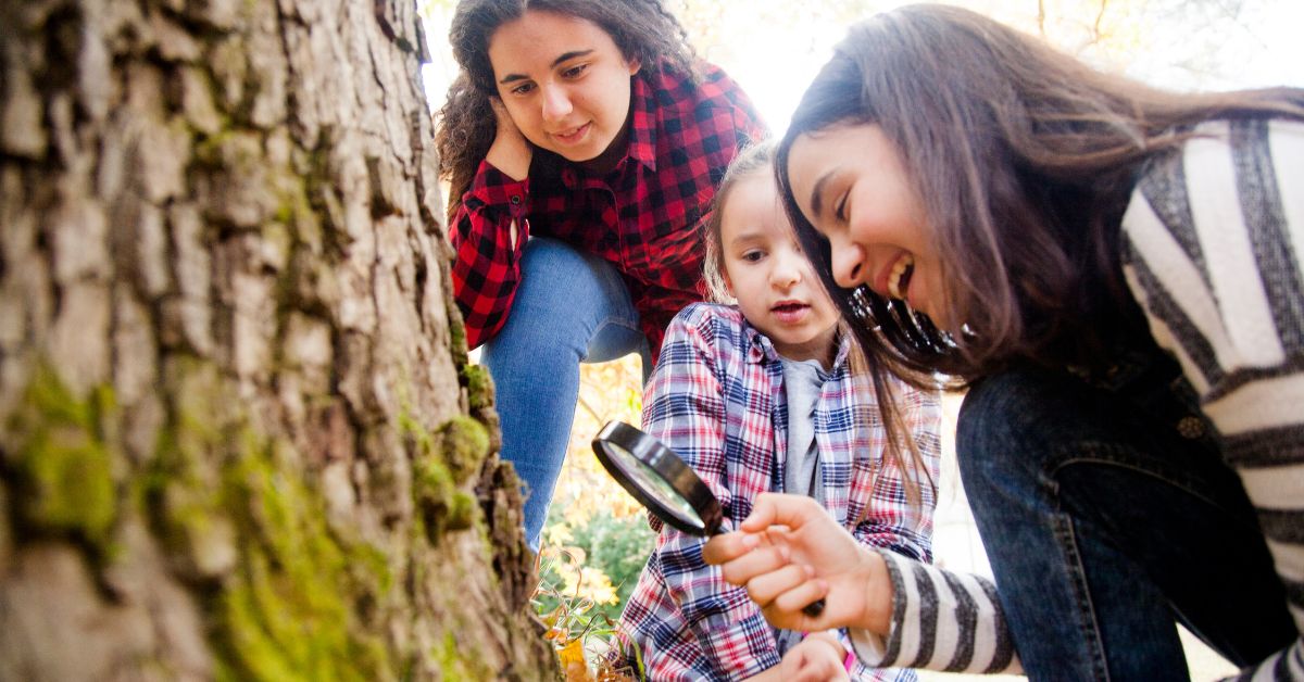 Homeschooling with a Nature Study Journal