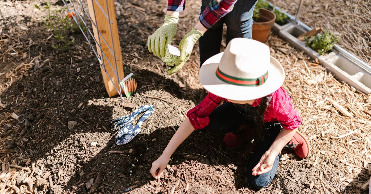 Summer-Themed Learning