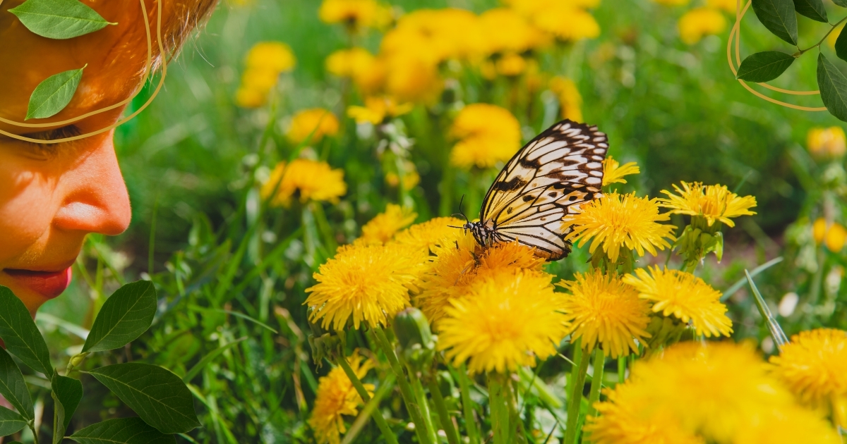 The Role of Nature in Homeschooling: Outdoor Learning Ideas