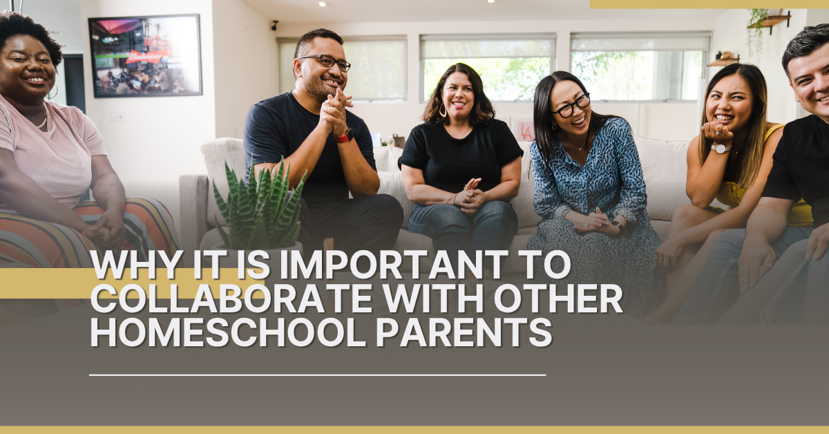 Why It is Important To Collaborate WIth Other Homeschool Parents