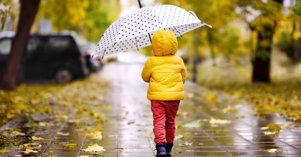 Charlotte Mason: What To Teach On A Rainy Autumn Day