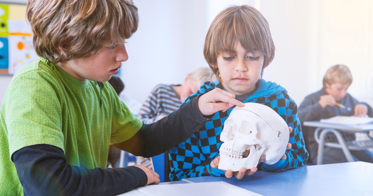 Stepping Back In Time With Archaeology Projects