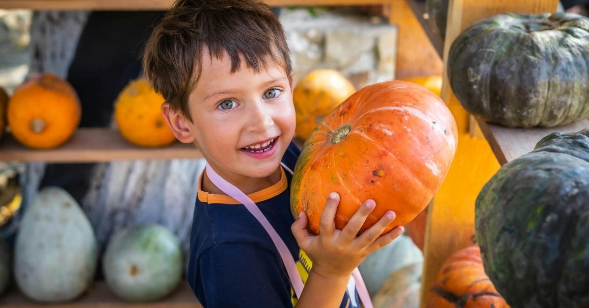 Pumpkin Spice Homeschool Activities For Math And Logic