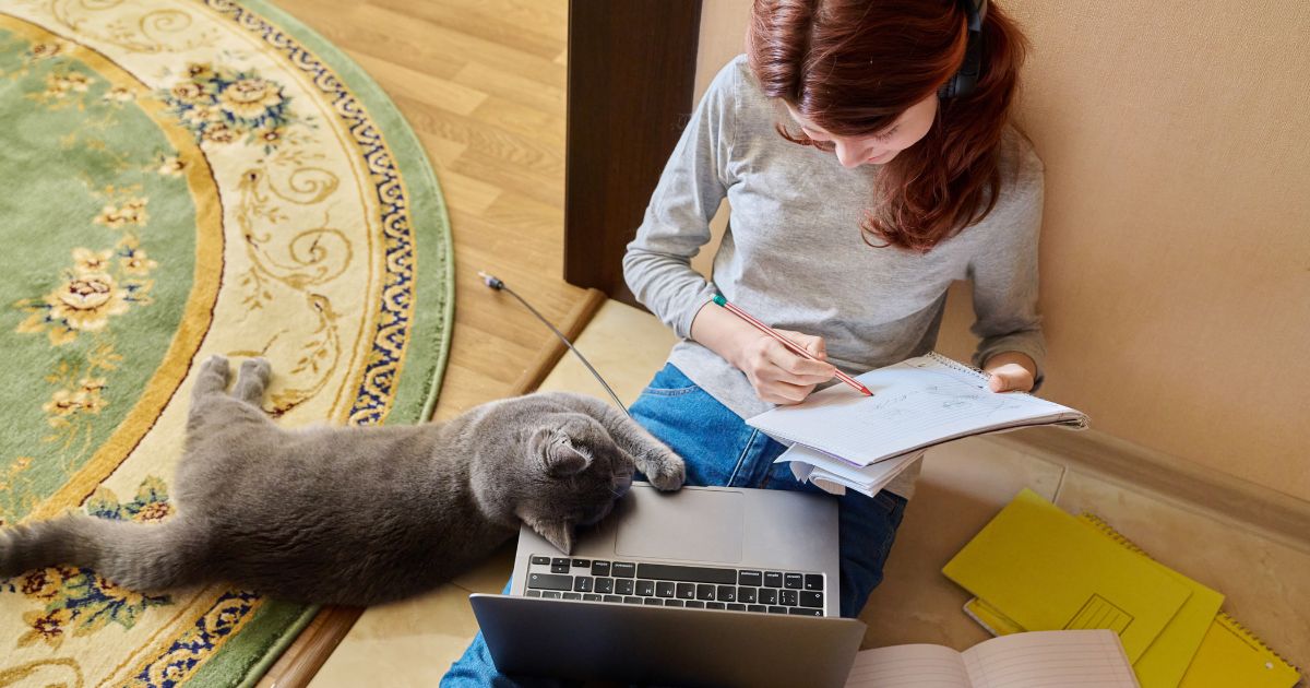 The Ultimate Hands-On Lesson: Animal Care Lessons For Kids