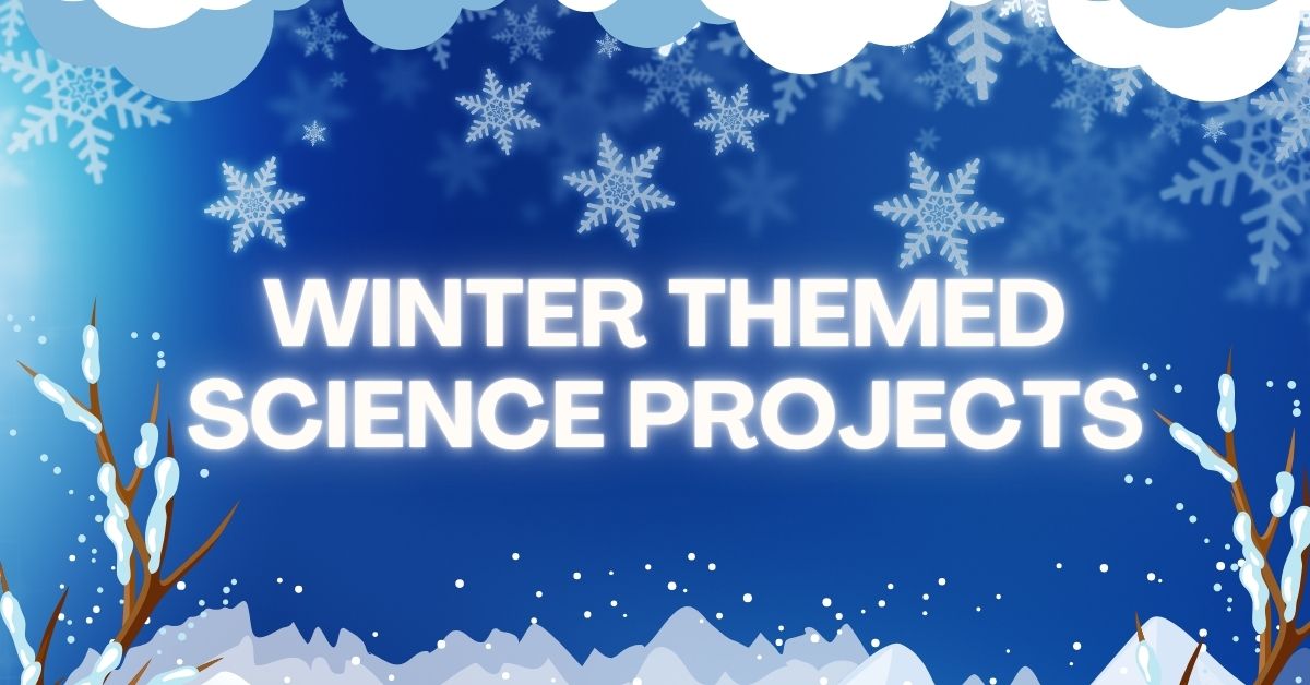 Winter Themed Science Projects: Our Top 3 For Middle Schoolers