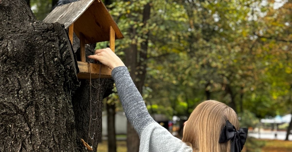 Turning Bird Feeding Into A Learning Adventure - DKM Homeschool Resource Turning Bird Feeding Into A Learning Adventure