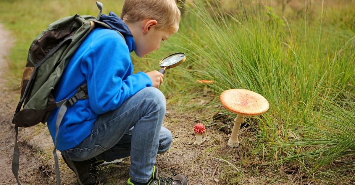 Using Brambly Hedge Homeschool Lessons Across Subjects