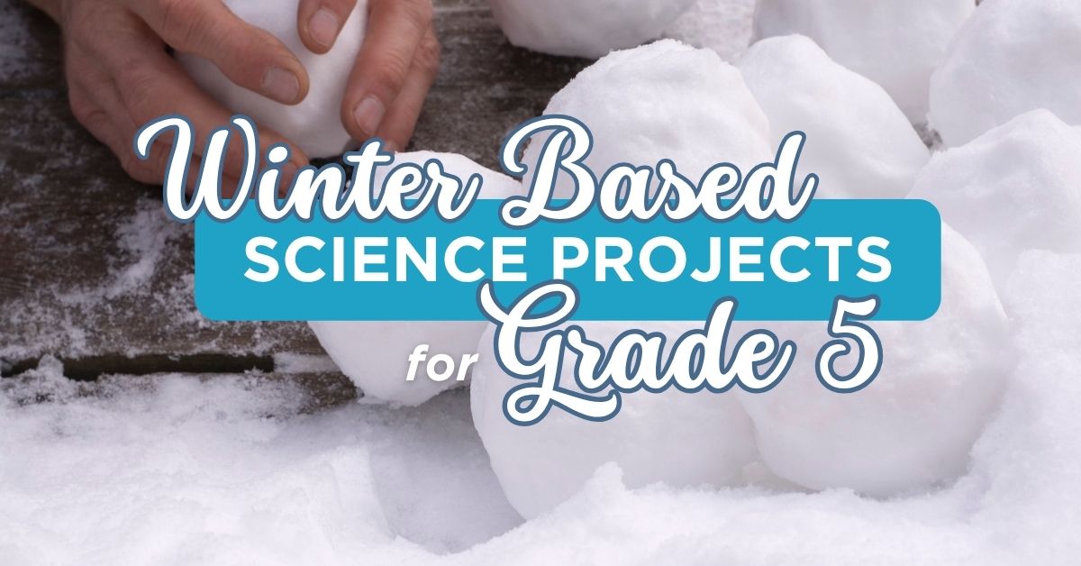 Winter Based Science Projects For Grade 5 - DKM Homeschool Resource Winter Based Science Projects For Grade 5