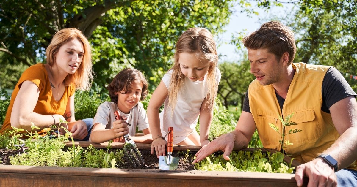 Gardening as Curriculum in Waldorf Education