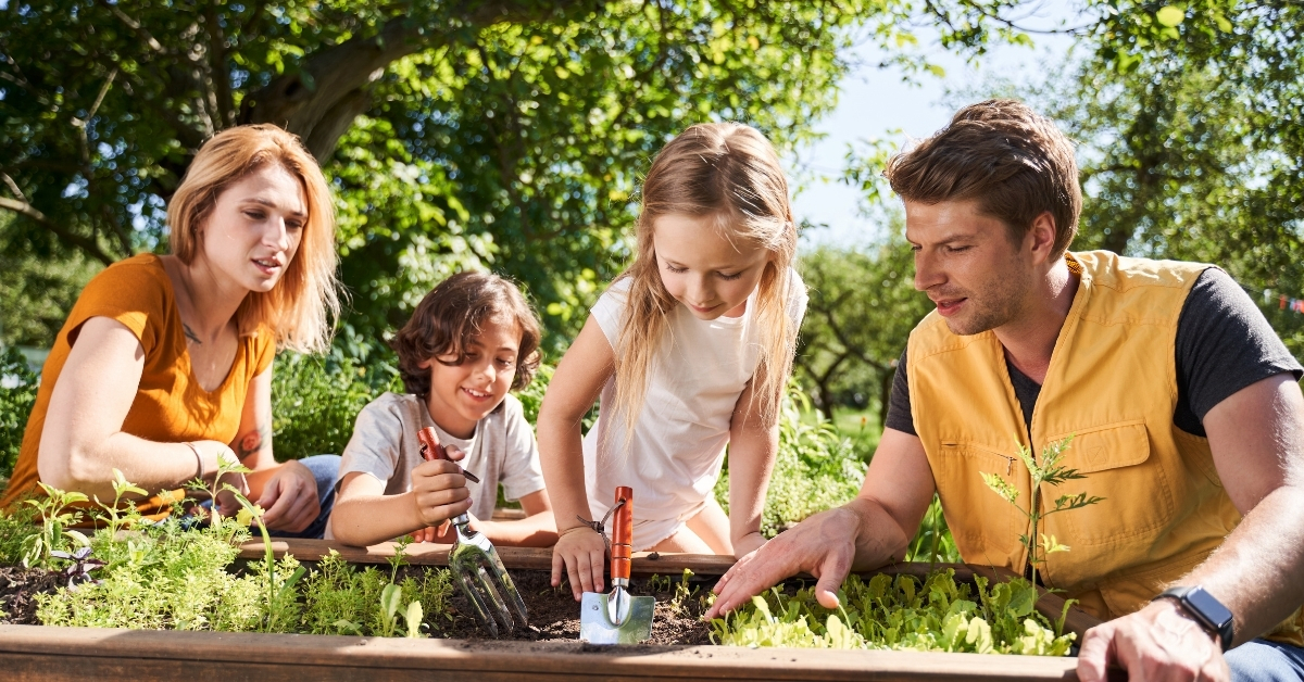 How to Teach Ecology Using Your Own Backyard