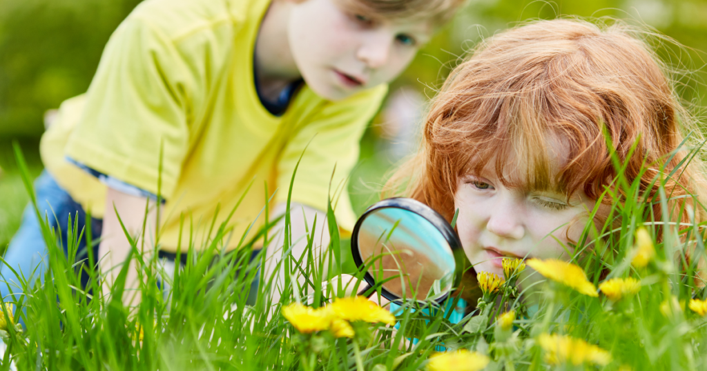 What A Hybrid Homeschool Curriculum Looks Like Day To Day